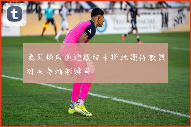 惠灵顿凤凰迎战纽卡斯托期待激烈对决与精彩瞬间