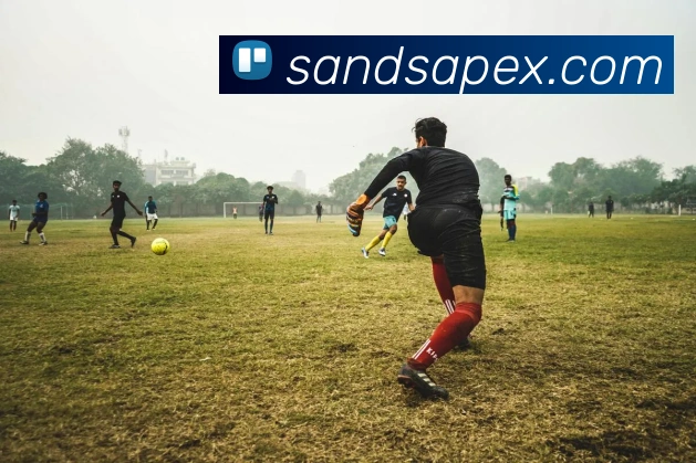 金沙娱乐城平台生态图